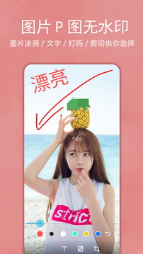 画中画照片编辑截图4