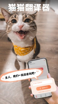 猫翻译截图0