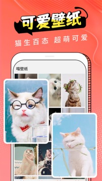 猫翻译截图2
